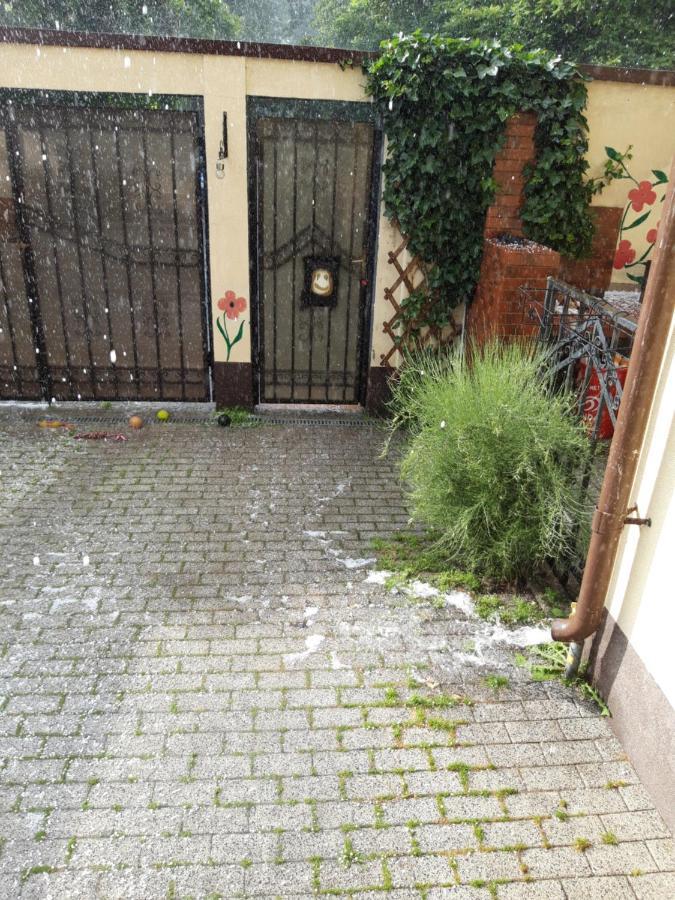 Papas Apartments Bucurestii Noi エクステリア 写真